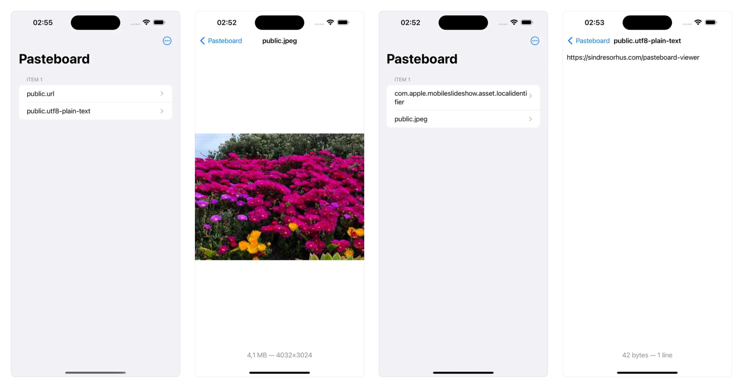 App screenshot